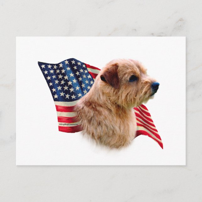 Norfolk Terrier Flagga Vykort (Framsida)