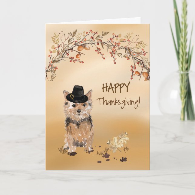 Norfolk Terrier Funny Pilgrim Hat Thanksgiving Kort (Framsida)