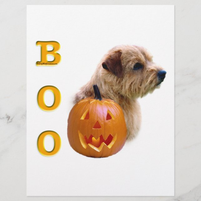 Norfolk Terrier Halloween Boo (Framsida)