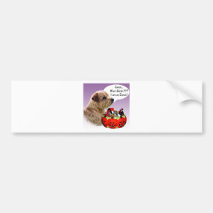 Norfolk Terrier Halloween Candy Bildekal