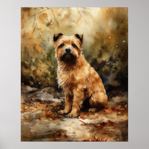 Norfolk Terrier Hund Art Print Poster