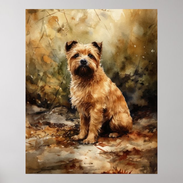 Norfolk Terrier Hund Art Print Poster (Framsidan)