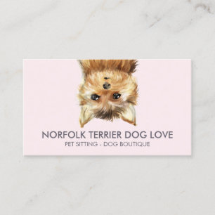Norfolk Terrier Hund Visitkort