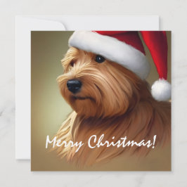 Norfolk Terrier jul