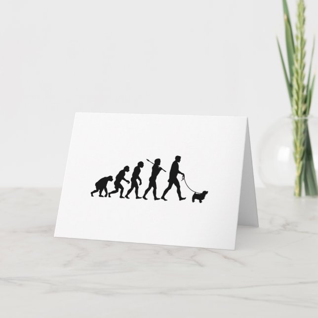 Norfolk Terrier Kort (Framsida)