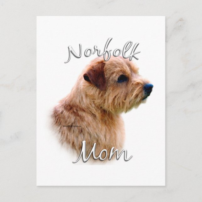 Norfolk Terrier Mamma 2 Vykort (Framsida)