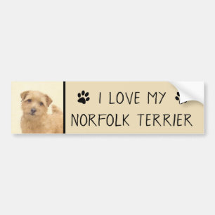 Norfolk Terrier Painting - Original Hund Art Bildekal
