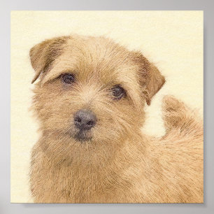 Norfolk Terrier Painting - Original Hund Art Poster