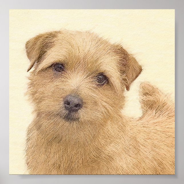 Norfolk Terrier Painting - Original Hund Art Poster (Framsidan)