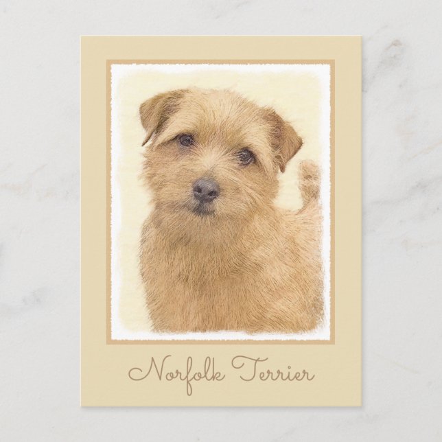 Norfolk Terrier Painting - Original Hund Art Vykort (Framsida)