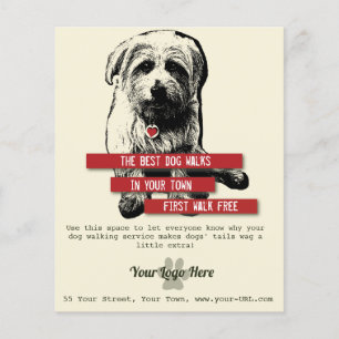 Norfolk Terrier Trendig Hund Walking Flyer