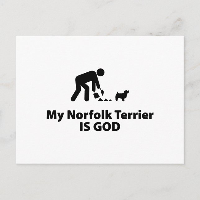 Norfolk Terrier Vykort (Framsida)