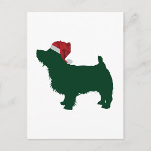Norfolk Terrier Vykort