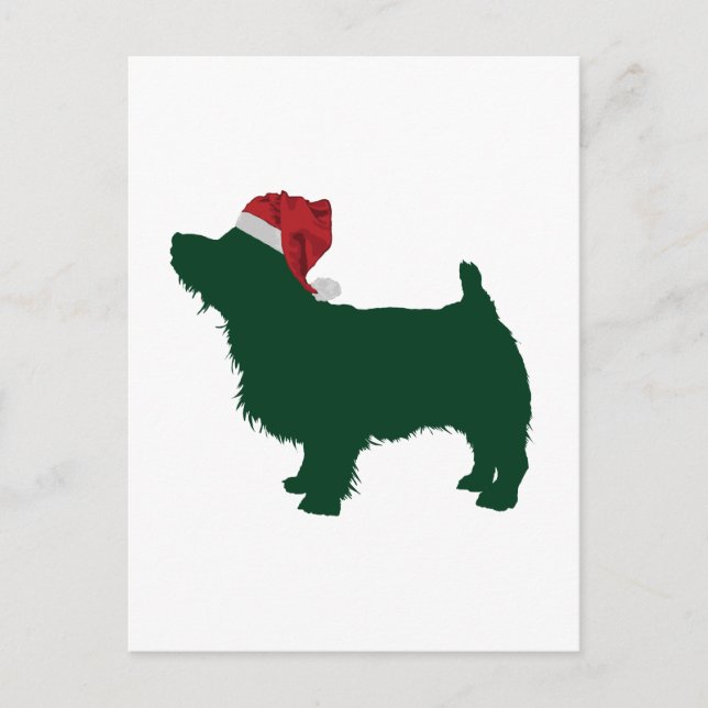Norfolk Terrier Vykort (Framsida)