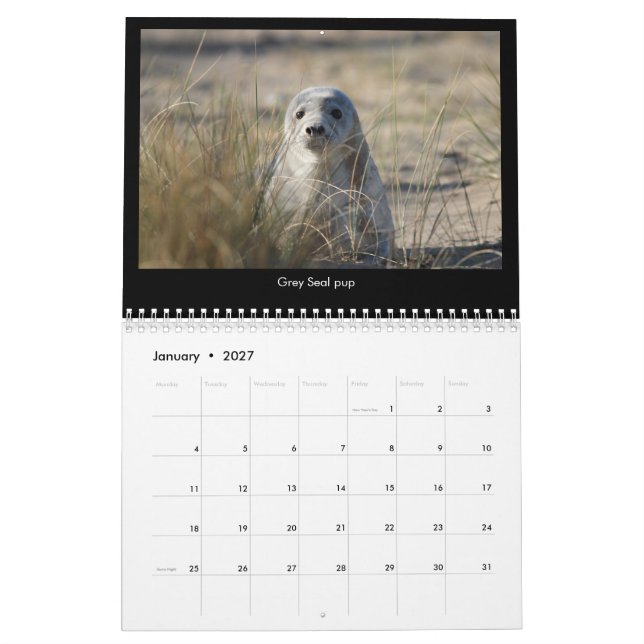 Norfolk (UK) kust- djurlivkalender 2018 Kalender (Jan 2027)