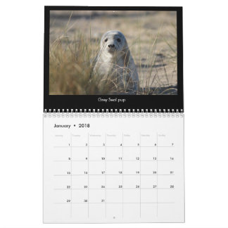 Norfolk (UK) kust- djurlivkalender 2018 Kalender