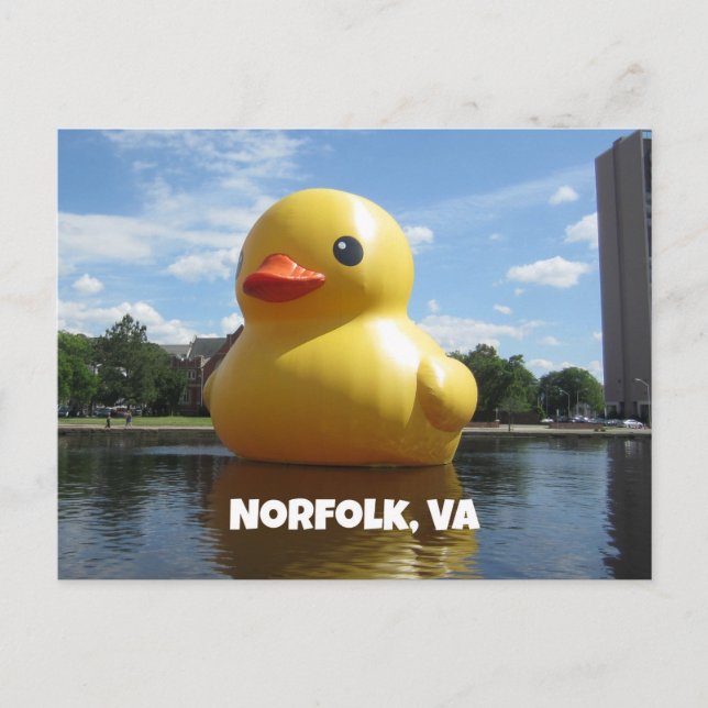 Norfolk, Virginia (Anka) Vykort (Framsida)