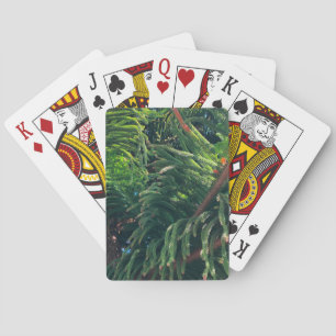 Norfolkön Gräs Casinokort