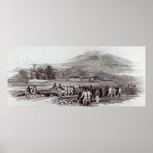 Norfolkön Poster (Framsidan)