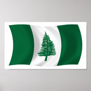 Norfolköns flagga Postertryck Poster