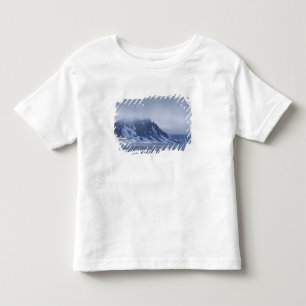 Norge, Arktiska cirkeln, Nordatlanten. Tee