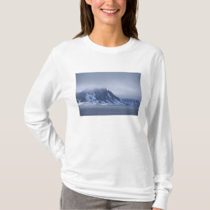 Norge, Arktiska cirkeln, Nordatlanten. Tee