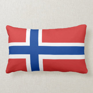 Norge/brytning för Norge norsk flagga (ingen text) Lumbarkudde