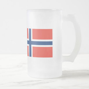 Norge Flagga Frostat Ölglas