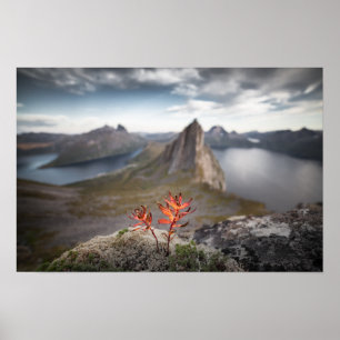 Norge liggande poster