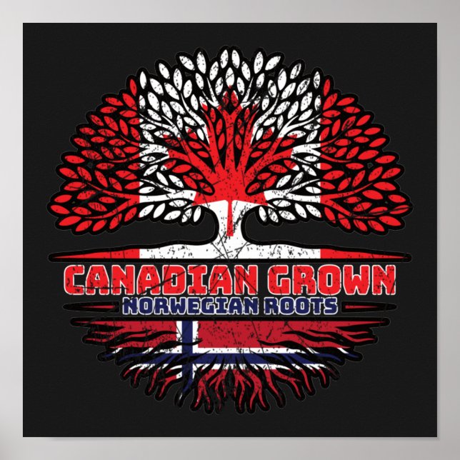 Norge Norska Canadian Träd Roots Flagga Poster (Framsidan)