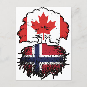Norge Norska Canadian Träd Roots Flagga Vykort
