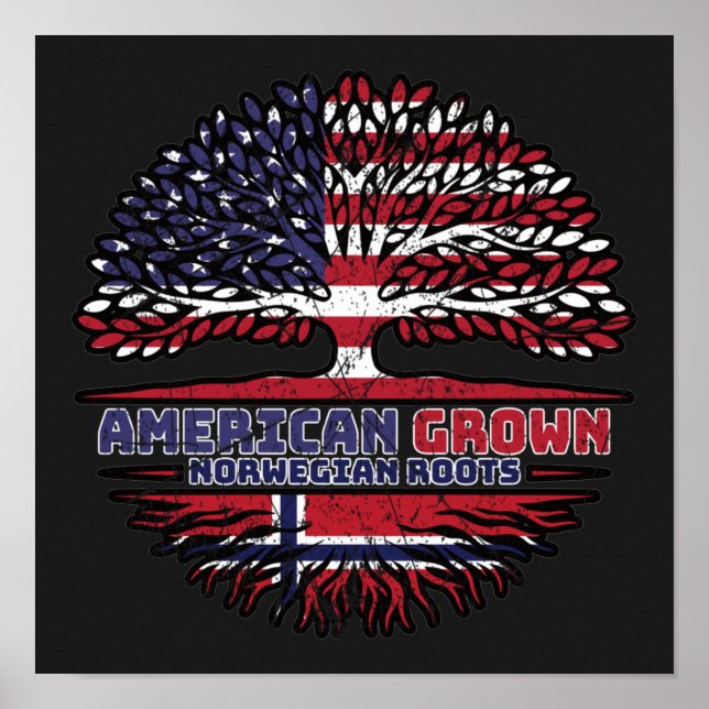 Norge Norska USA Förenta staterna Stater Poster (Framsidan)