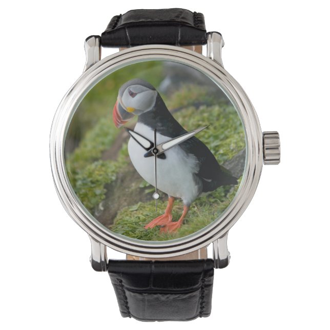 Norge, Svalbardarkipelagen, Spitsbergen 9 Armbandsur (Framsida)