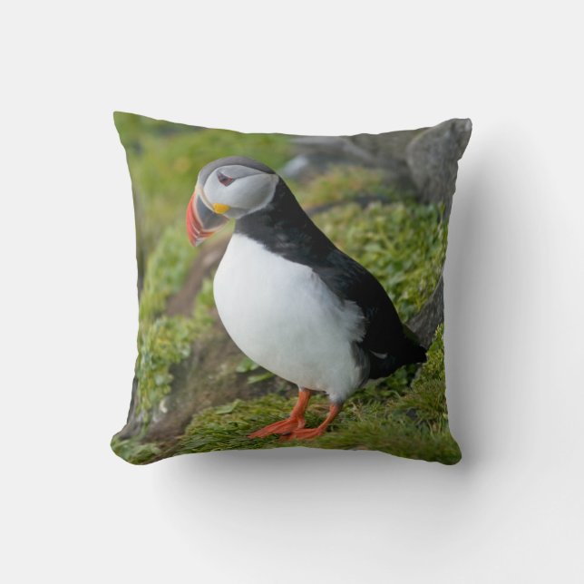 Norge, Svalbardarkipelagen, Spitsbergen 9 Kudde (Framsida)