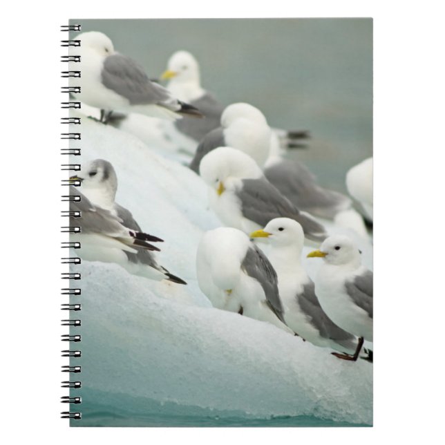 Norge, Svalbardarkipelagen, Spitsbergen Anteckningsbok (Framsidan)