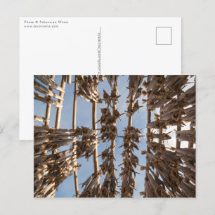 Norgen för Lofoten-öarna Vykort