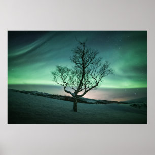 Norgen Norra Ljus Poster