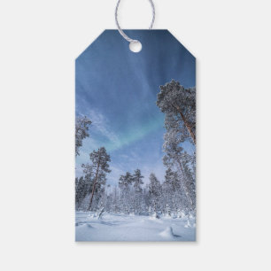 Norgen Norra Ljus Presentetikett