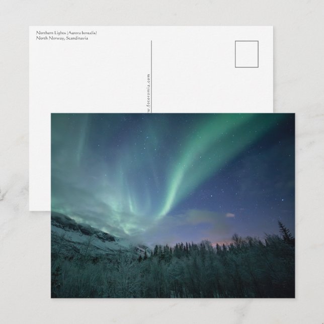 Norgen Norra Ljus Vykort (Fram/baksida)