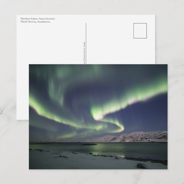 Norgen Norra Ljus Vykort (Fram/baksida)