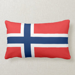 Norges flagga lumbarkudde