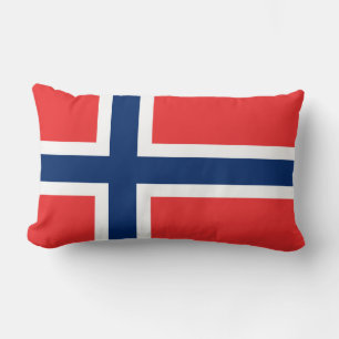 Norges flagga lumbarkudde