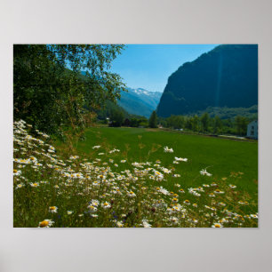 Norgevår blommor poster