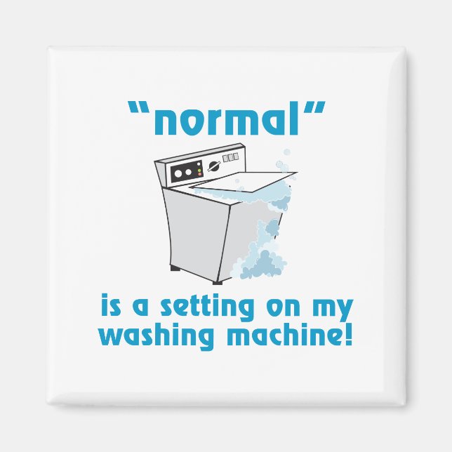 Normal Magnet (Framsidan)