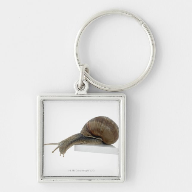 Normalsnail Fyrkantig Silverfärgad Nyckelring (Framsidan)