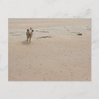 Normandy 2009 (1) vykort