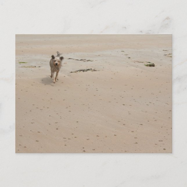 Normandy 2009 (1) vykort (Framsida)