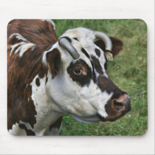 Normandy komousepad musmatta