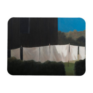 Normas tvättande 2012 magnet