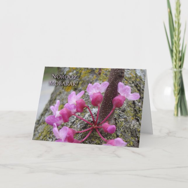 Noroz, Redbud Träd i Bloom, Vår-foto Kort (Framsida)